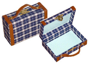 Suitcase in blue plaid